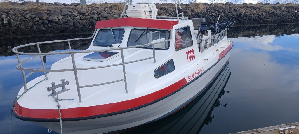 Svanur HF, brotinn og&nbsp;sokkinn